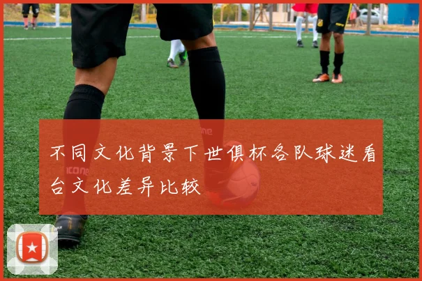 不同文化背景下世俱杯各队球迷看台文化差异比较
